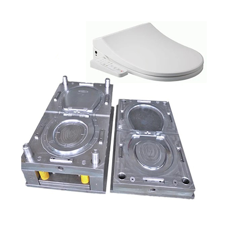 Toilet Seat Mould